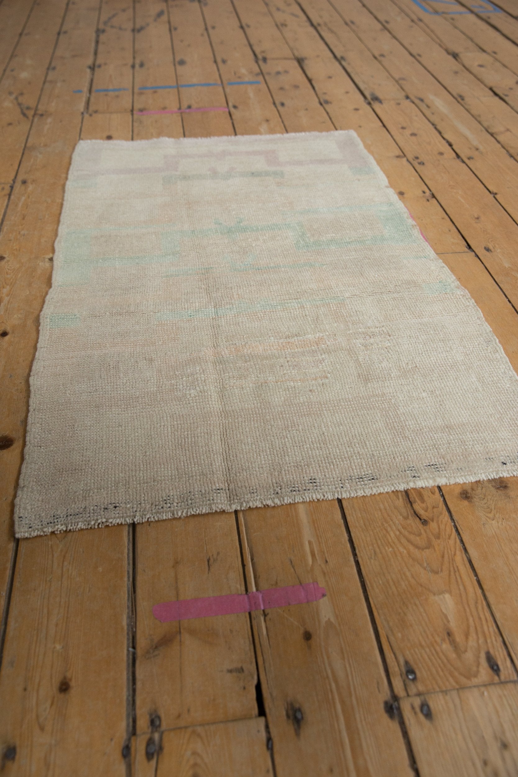 2.5x4 Vintage Distressed Tulu Rug