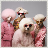 Four poodles dressed in retro clothing with distinctive hairstyles and sunglasses: a pink afro with pink outfit, a white pompadour with floral shirt, a large fluffy white style with pink sunglasses and fur coat, and a white afro,