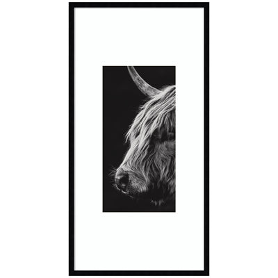 Scottish Highland framed wall art print by Crystal Lynn Collins in a black frame displayed on a wall
