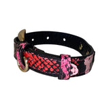 Black snake-patterned dog collar with fuchsia, light pink, and red scales and custom gold buckle hardware, shown coiled on white background.
