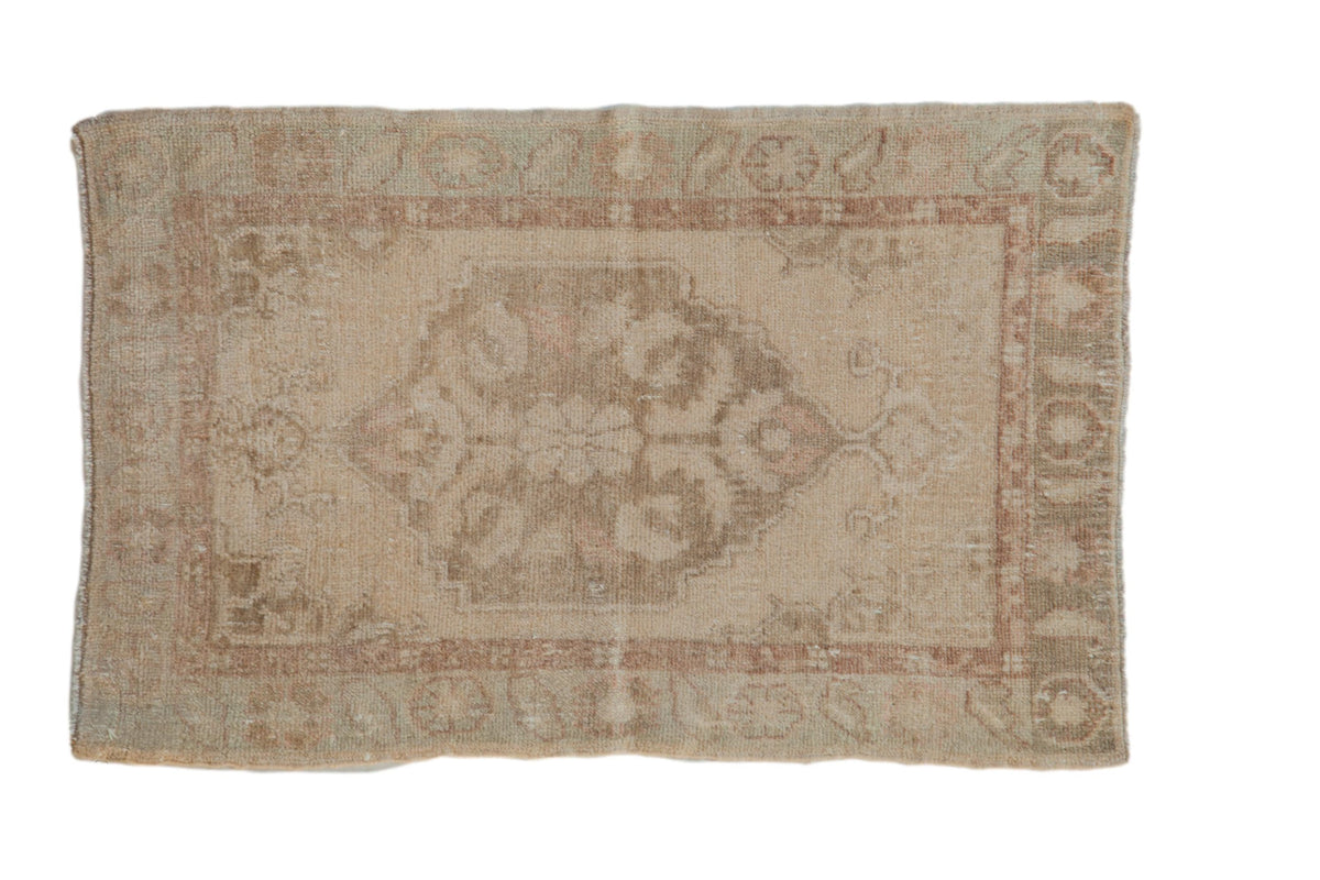 2x3.5 Vintage Distressed Oushak Rug by Old New House® - main product image for Resin Society