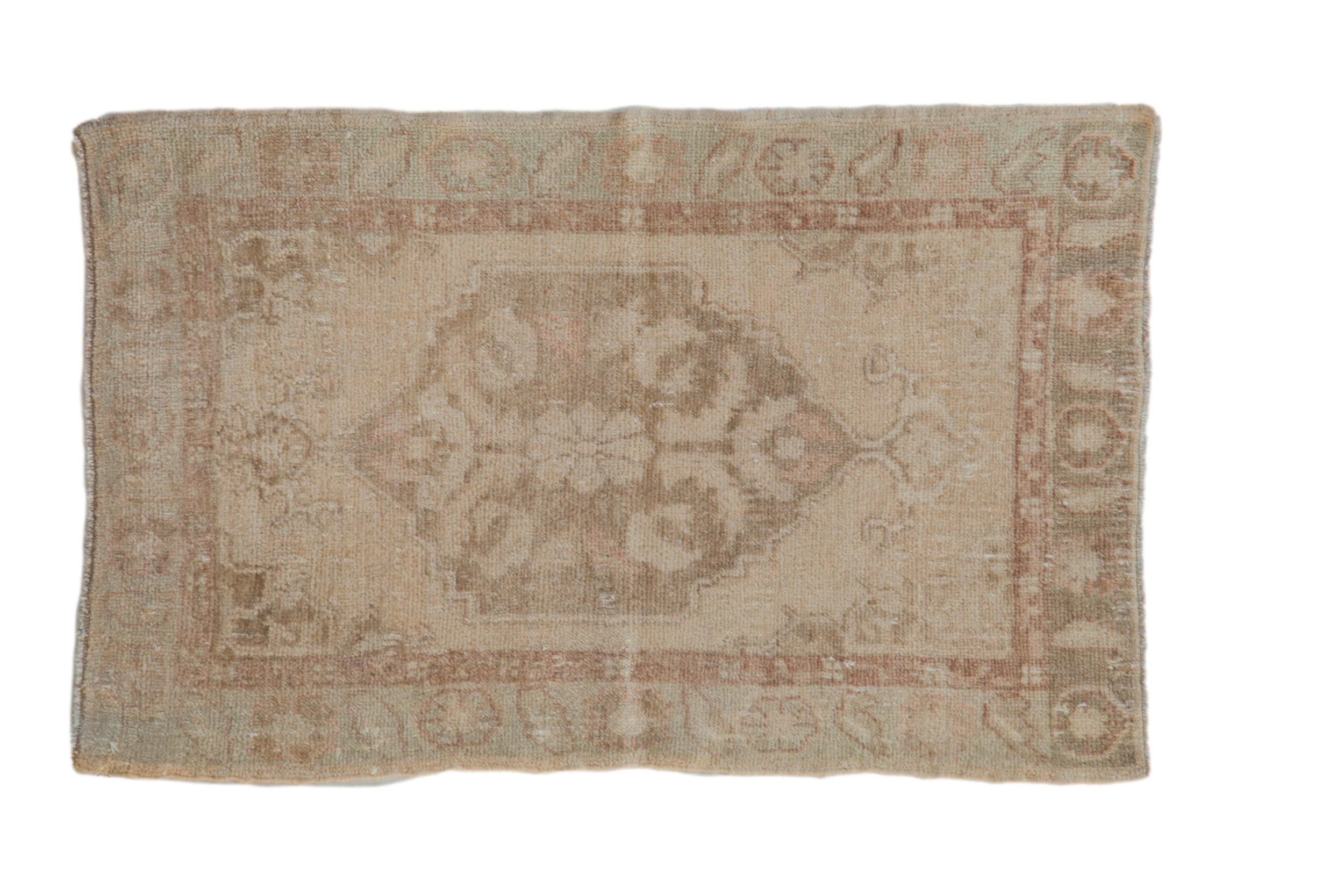 2x3.5 Vintage Distressed Oushak Rug by Old New House® - main product image for Resin Society