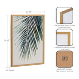 Framed botanical print of a tropical palm leaf in green hues with a natural oak wood frame in gold finish, dimensions 12.65 by 16.65 inches, 0.65-inch depth.