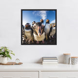 Framed photograph of six gentoo penguins on rocky ground with a blue sky background, one penguin prominently close to the camera center.