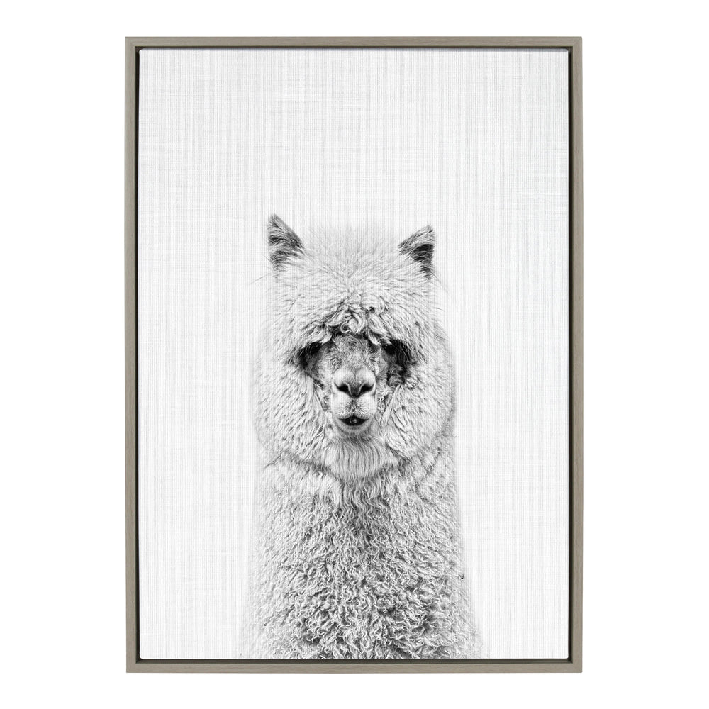 Sylvie Hairy Alpaca Framed Canvas Art by Simon Te featuring a close-up portrait of a fluffy alpaca in a floating polystyrene frame