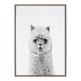 Sylvie Hairy Alpaca Framed Canvas Art by Simon Te featuring a close-up portrait of a fluffy alpaca in a floating polystyrene frame