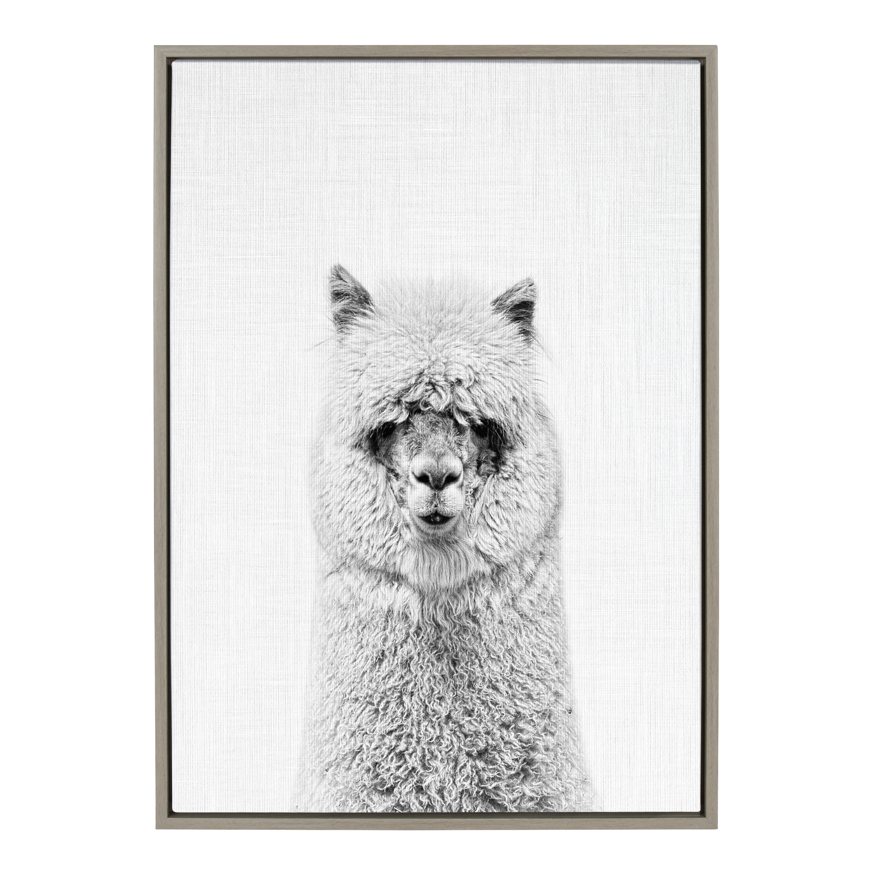 Sylvie Hairy Alpaca Framed Canvas Art by Simon Te featuring a close-up portrait of a fluffy alpaca in a floating polystyrene frame