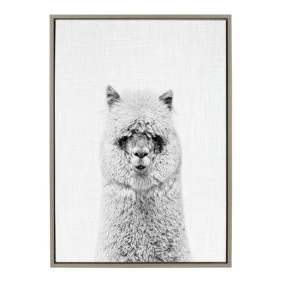 Sylvie Hairy Alpaca Framed Canvas Art by Simon Te featuring a close-up portrait of a fluffy alpaca in a floating polystyrene frame