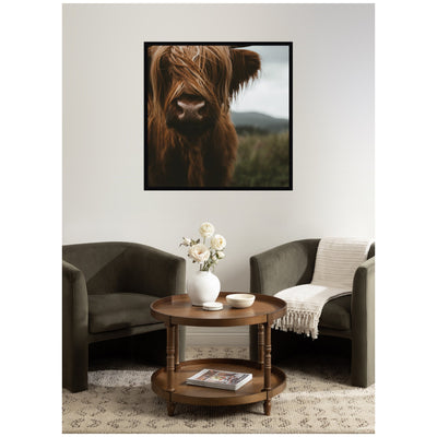 Close Up of Scottish Highland Cattle Baby SQ by Michael Schauer Framed Wall Art Print