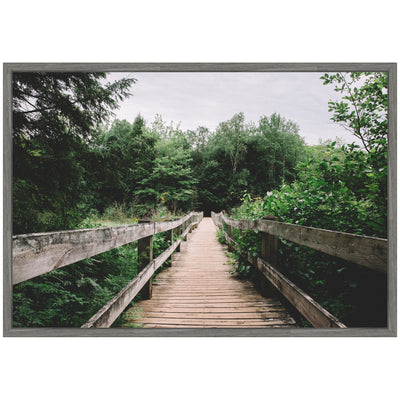 Sylvie Pathway to the Forest Landscape Framed Canvas by Patricia Hasz