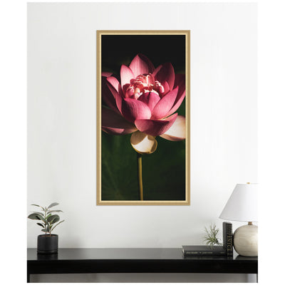 Midnight Lotus Flower by Stephanie Klatt Framed Wall Art Print