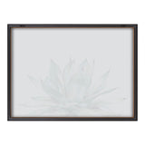 Blake Parrys Agave Framed Printed Glass by kateandlaurel - product image 17 for Resin Society