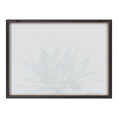 Blake Parrys Agave Framed Printed Glass by kateandlaurel - product image 17 for Resin Society
