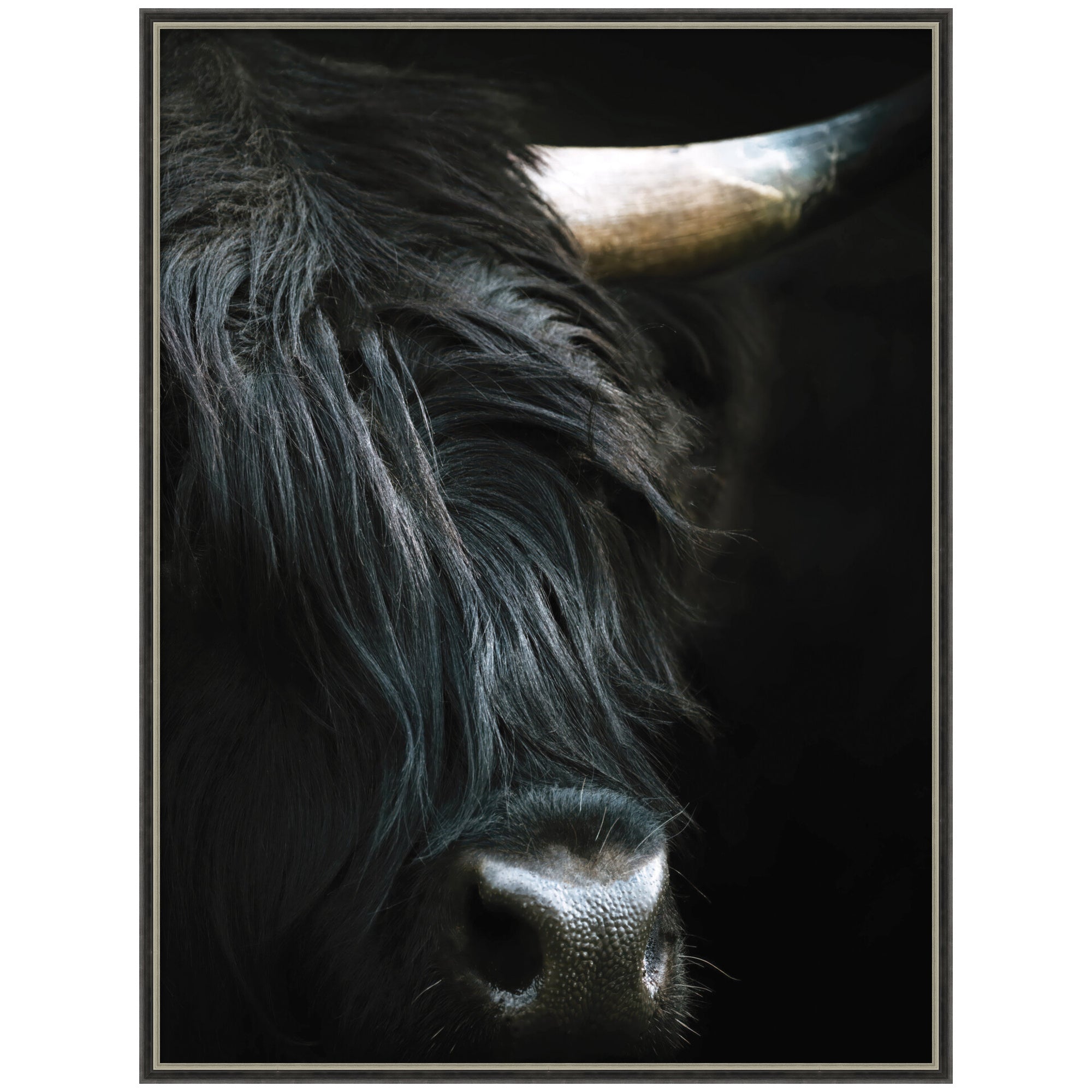 Minimalist Black Highland Cow Close framed art print by Michael Schauer