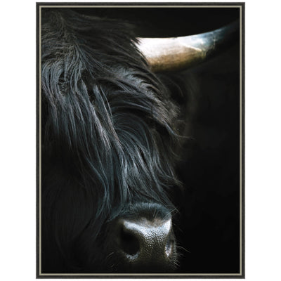 Minimalist Black Highland Cow Close framed art print by Michael Schauer