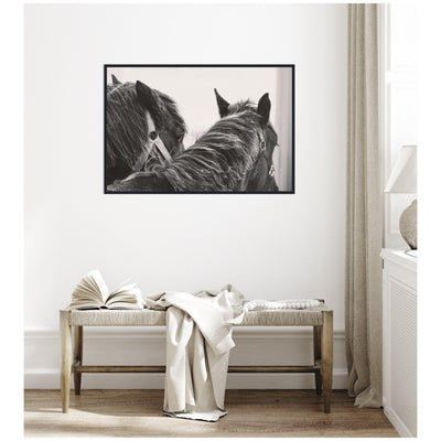 Black Horses by Emiko and Mark Franzen F2 Images Framed Canvas Wall Art Print