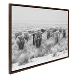 Sylvie Herd of Highland Cows Black and White Framed Canvas by The