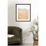 Framed photo of dried wild fennel with muted beige and pale blue tones, hanging on a white wall above a dark green armchair and a potted plant with olives.