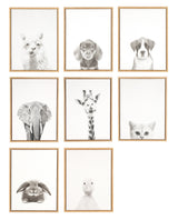 Nine framed pencil-drawn animal portraits arranged in a grid: a llama, two dogs, an elephant, a giraffe, a cat’s face, a bunny, and a duck, all on white backgrounds.