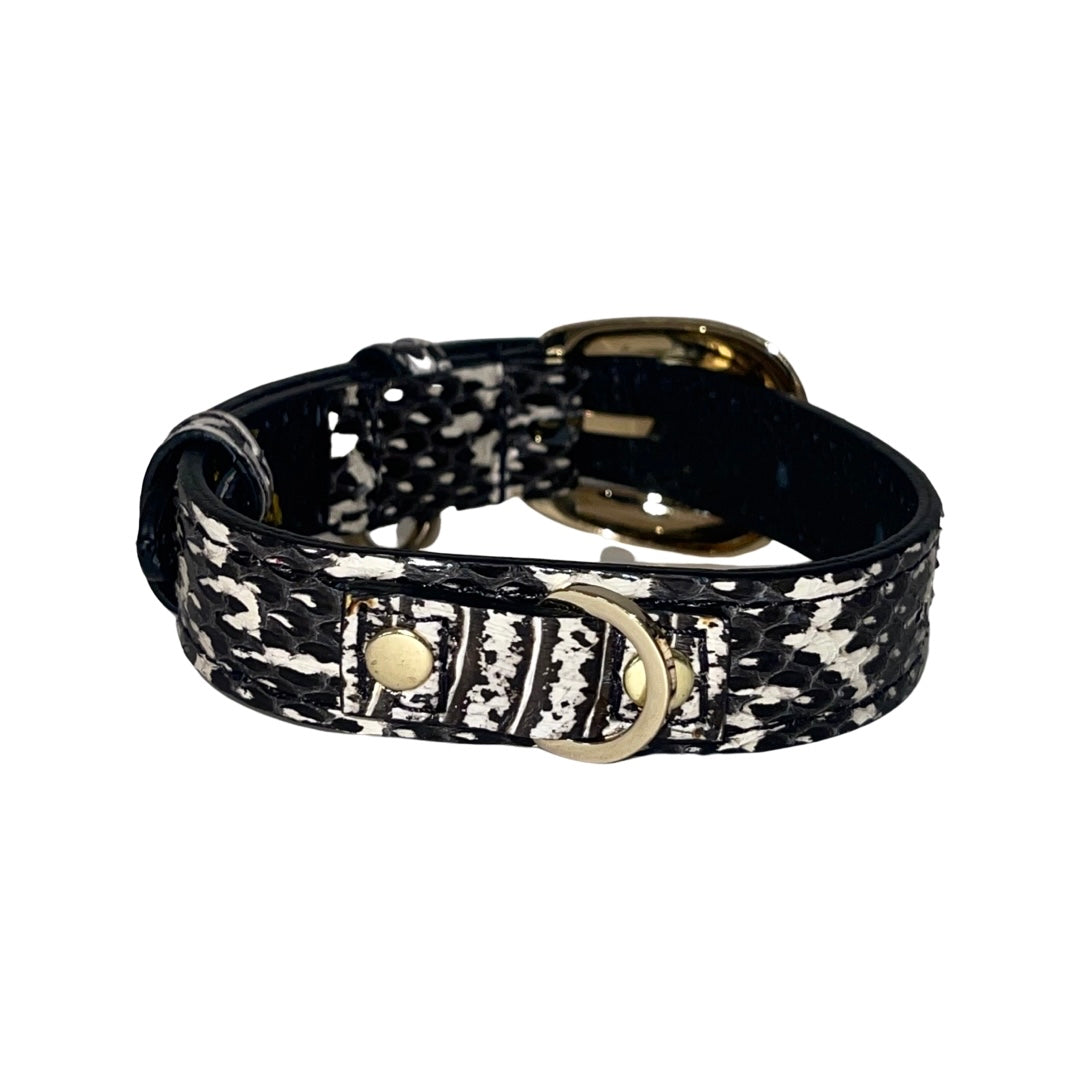 Small black and white snake-patterned collar with a gold D-ring and a custom gold oval buckle, shown coiled against a white background.