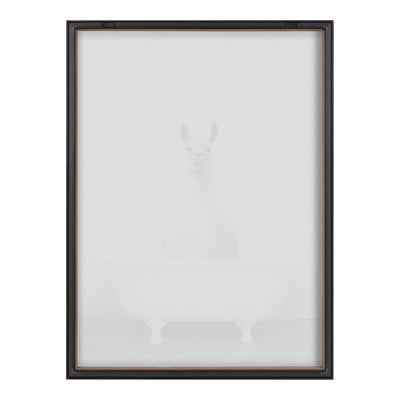 Blake Alpaca in the Tub Color Framed Printed Glass