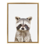 Portrait of a young raccoon with distinct black facial markings and soft gray fur, centered in a simple light wood frame against a white background.