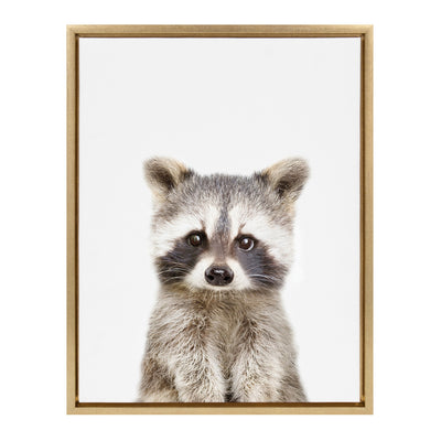 Sylvie Raccoon Framed Canvas by Amy Peterson Art Studio