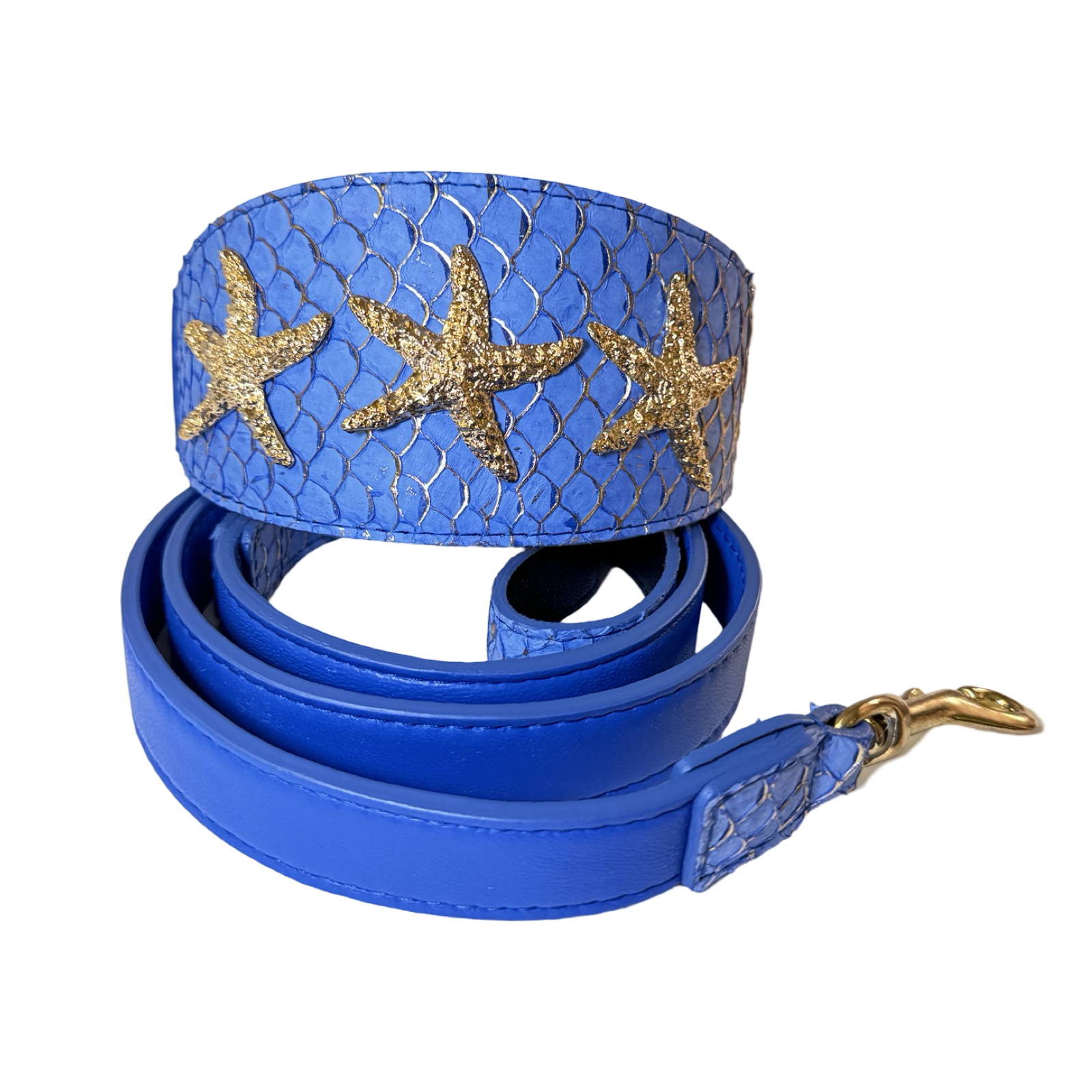 Malibu Star Collar & Leash Set showcasing blue and gold tilapia leather with gold starfish rivets and matching leash