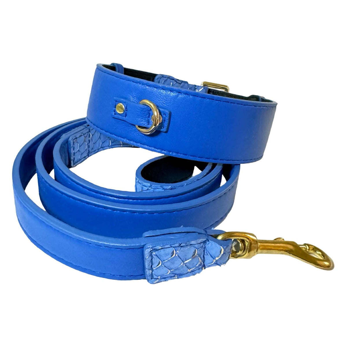 Coiled vibrant blue dog leash with textured reptile pattern accents and a matching collar featuring gold-tone metal buckles and a D-ring.