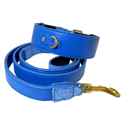 Malibu Classic Collar & Leash Set
