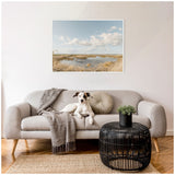 White and gray dog lying on a light gray sofa with a round cushion and gray throw, beside a black woven coffee table with a green plant, underneath a framed marshland landscape photo.