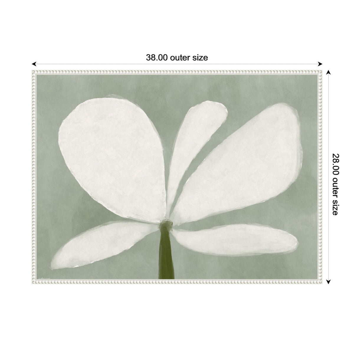 Minimalist floral artwork with five large, soft white petals radiating from a central green stem on a muted sage green background, framed with a light beaded border.