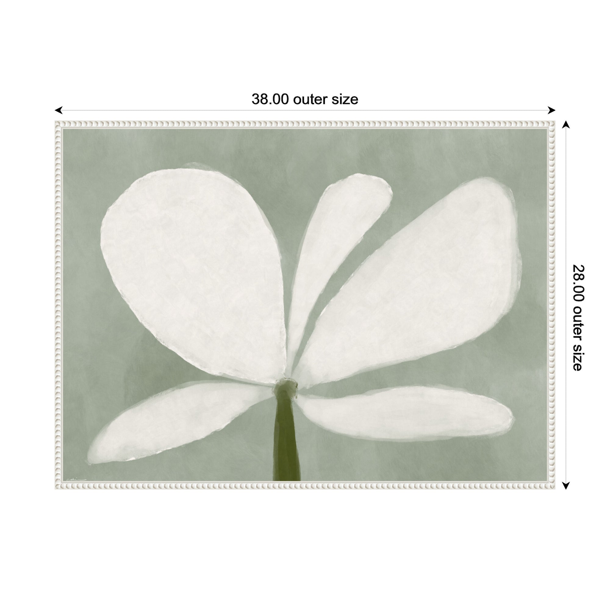 White Floral No.
2 by Gabrielly Guedes Framed Canvas Wall Art Print