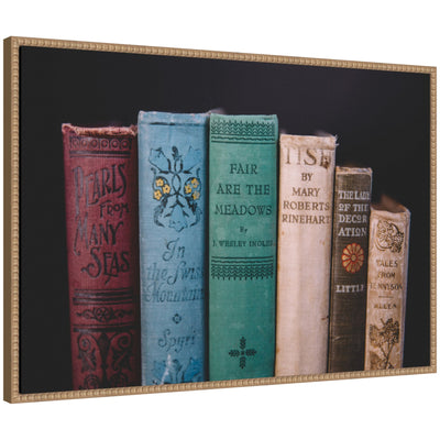Framed canvas art depicting vintage classic books by Patricia Hasz with a beaded rustic natural frame