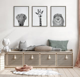 Sylvie Elephant Giraffe and Lion Framed Canvas by kateandlaurel - product image 8 for Resin Society