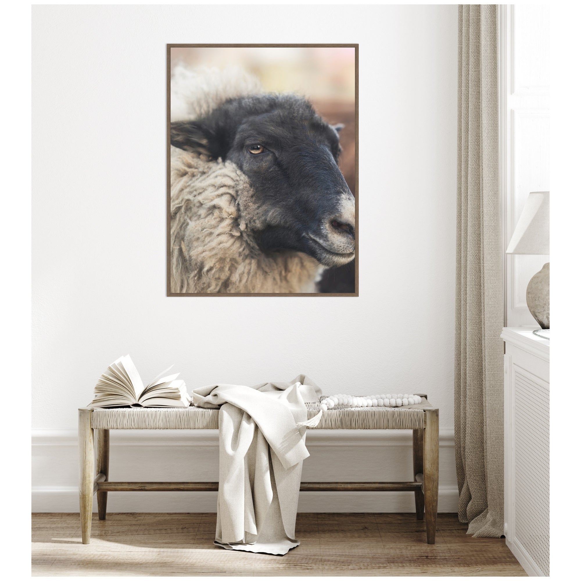 Edward Close Up by Emiko and Mark Franzen F2 Images Framed Canvas Wall Art Print
