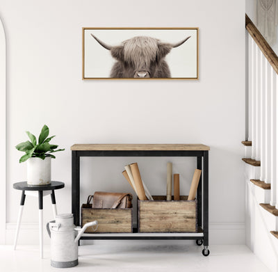 Sylvie Hey Dude Highland Cow Color Framed Canvas by The Creative Bunch