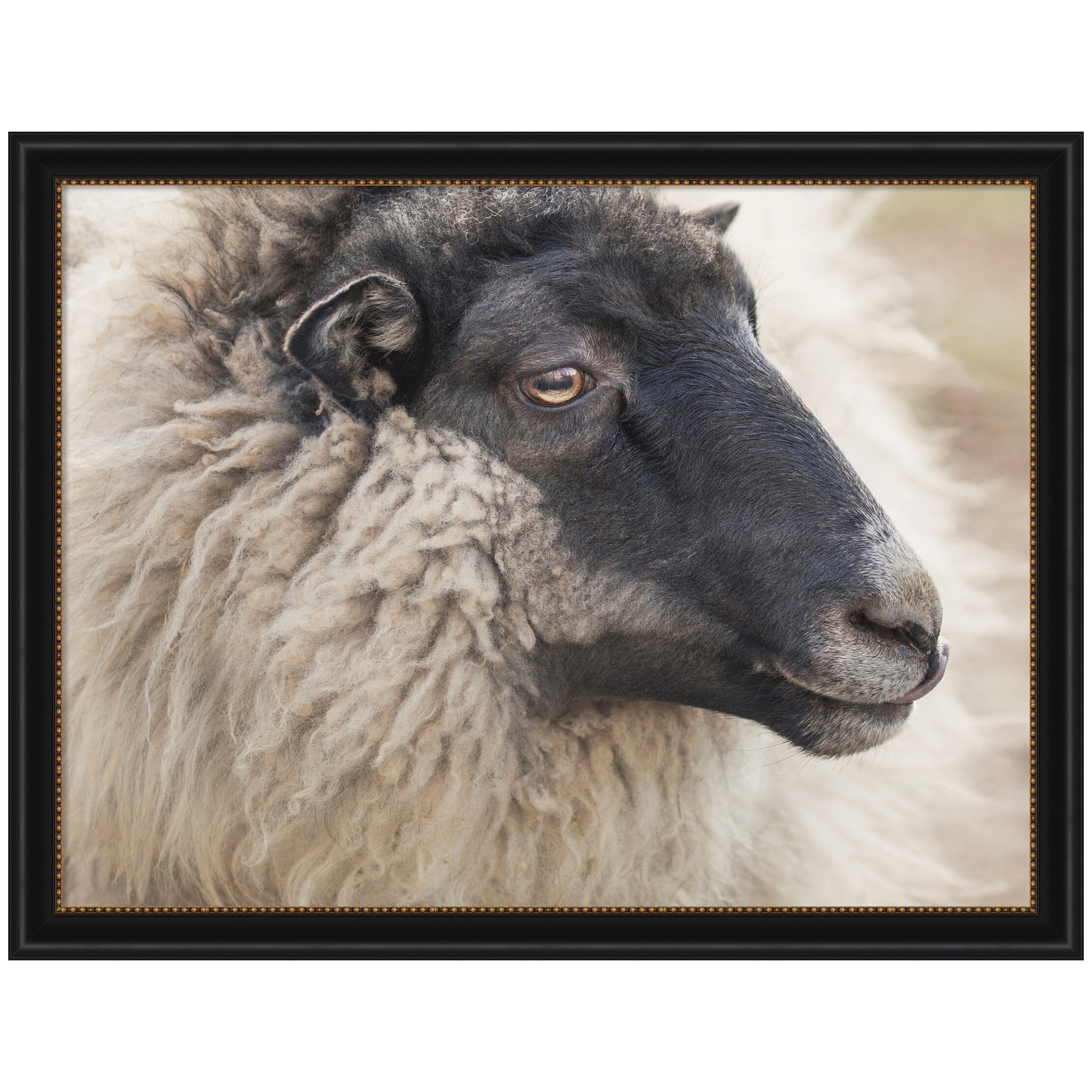 Edward Crop by Emiko and Mark Franzen F2 Images Framed Wall Art Print