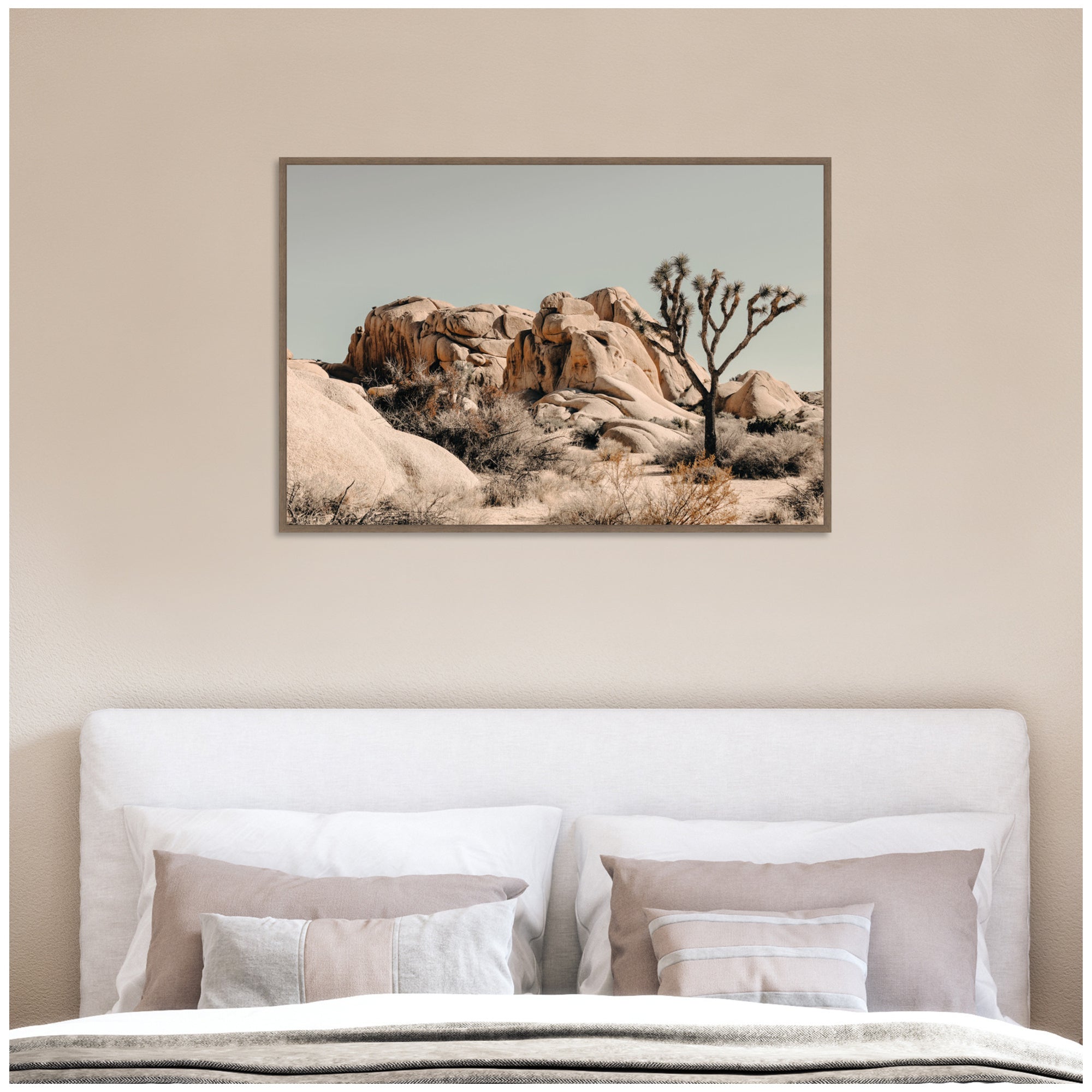 Joshua Tree No.
3 by Alicia Bock Framed Canvas Wall Art Print