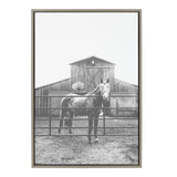 Sylvie Modern Farmhouse Horse Black and White Framed Canvas by Patricia Hasz showing a horse in black and white with a gray frame