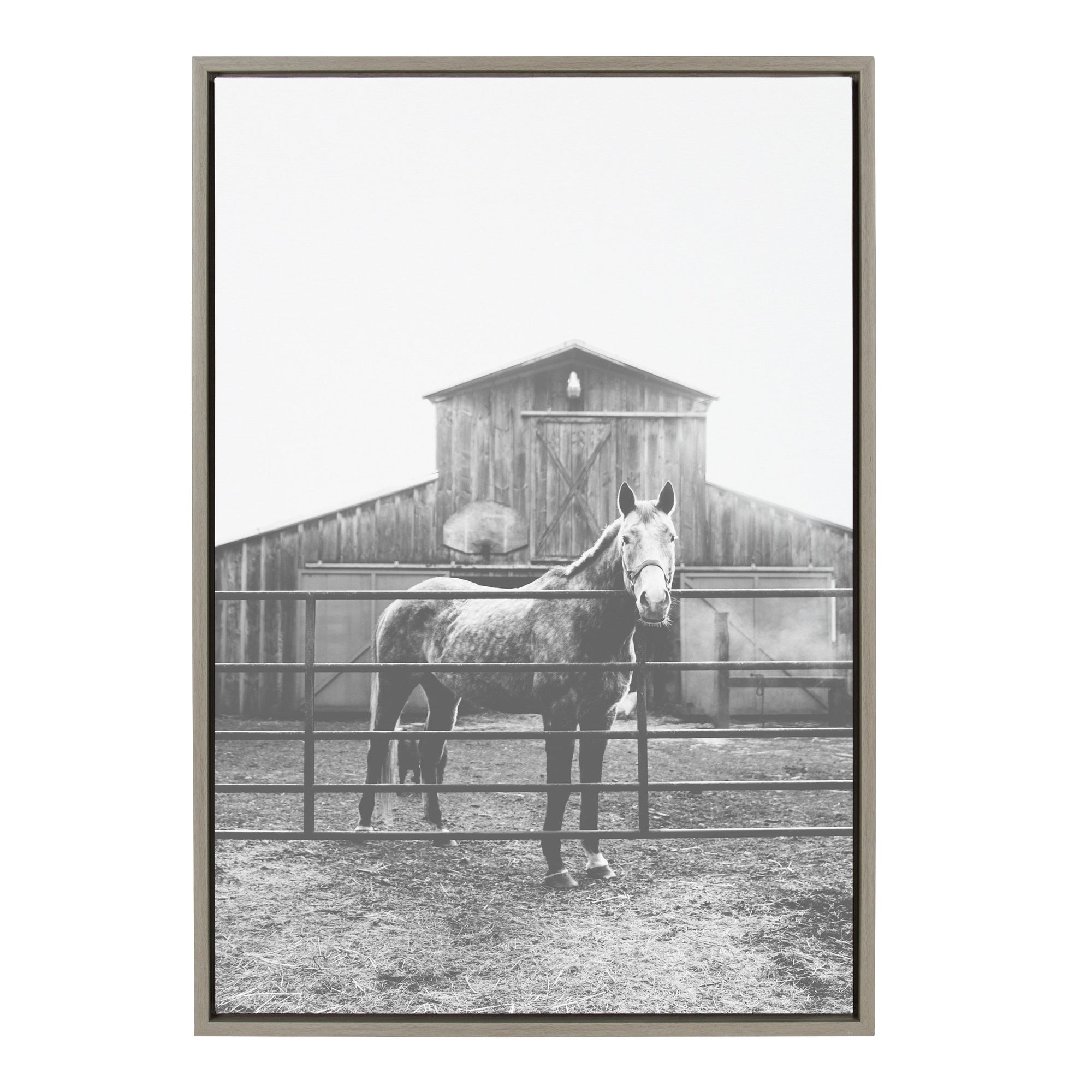 Sylvie Modern Farmhouse Horse Black and White Framed Canvas by Patricia Hasz showing a horse in black and white with a gray frame