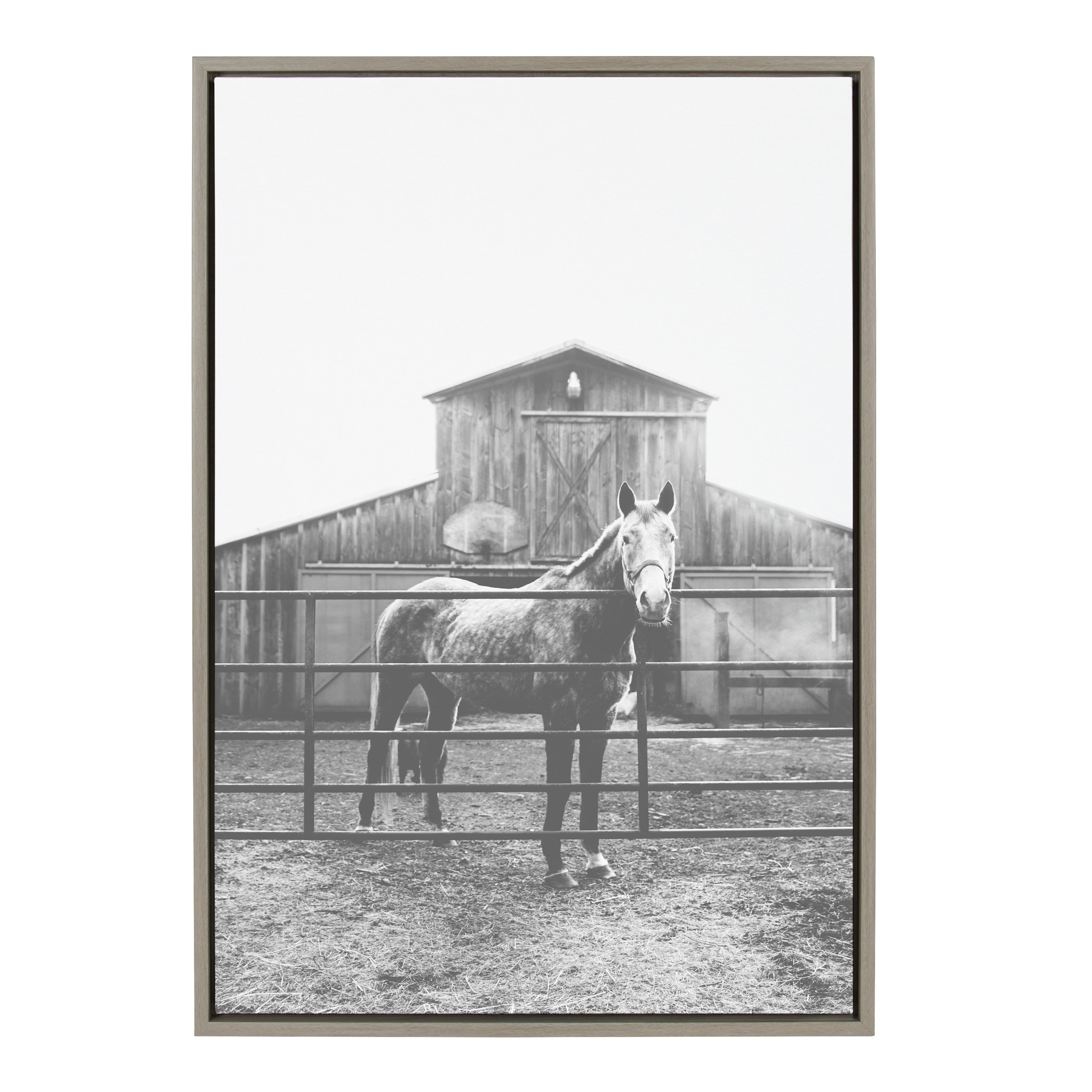 Sylvie Modern Farmhouse Horse Black and White Framed Canvas by Patricia Hasz showing a horse in black and white with a gray frame