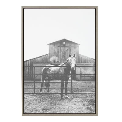 Sylvie Modern Farmhouse Horse Black and White Framed Canvas by Patricia Hasz showing a horse in black and white with a gray frame
