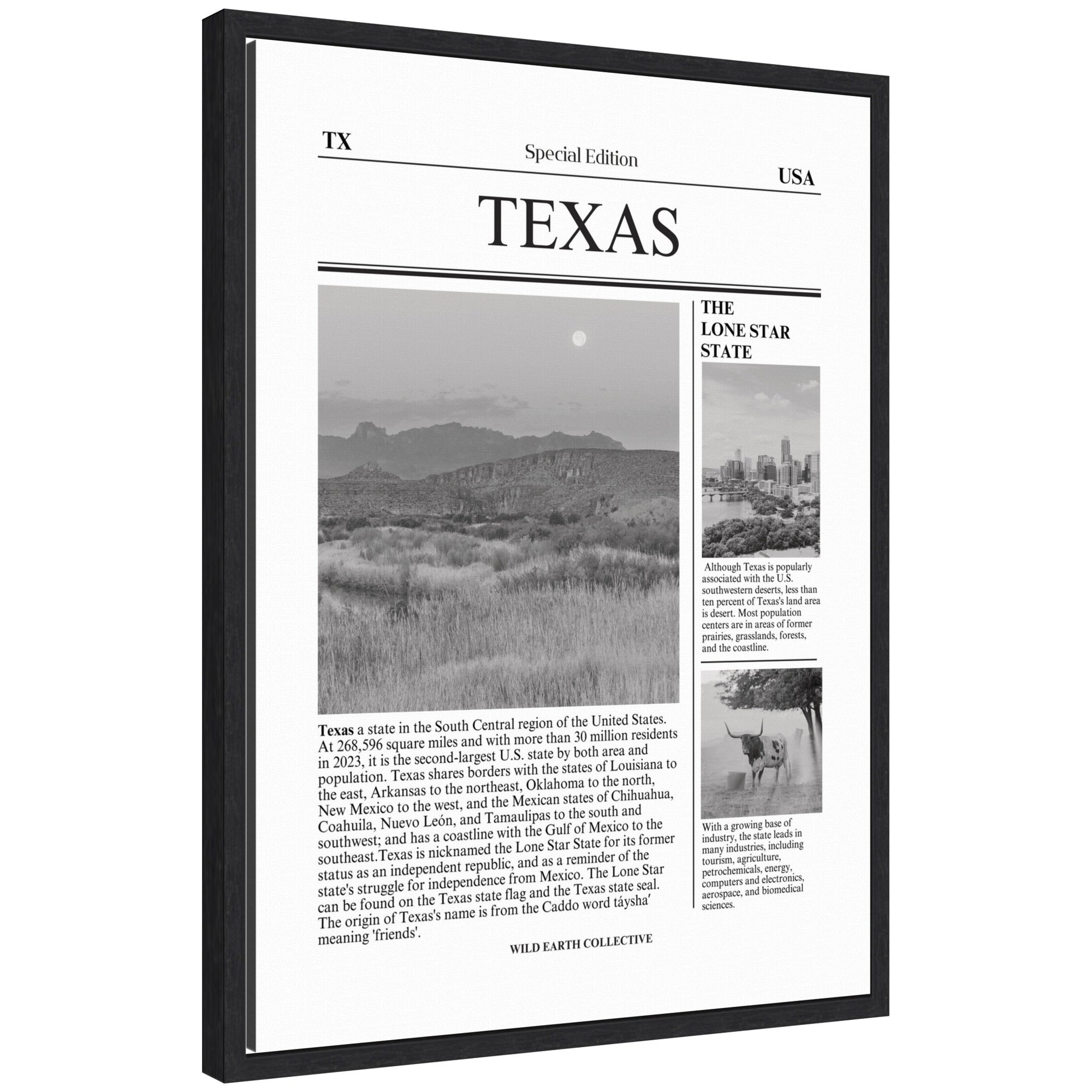 Texas Article by Megan Ryan framed canvas wall art print in Sylvie black frame