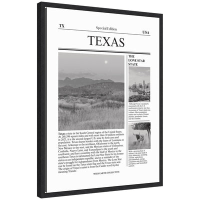 Texas Article by Megan Ryan framed canvas wall art print in Sylvie black frame