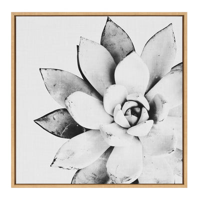 Sylvie Succulent Framed Canvas by Simon Te of Tai Prints
