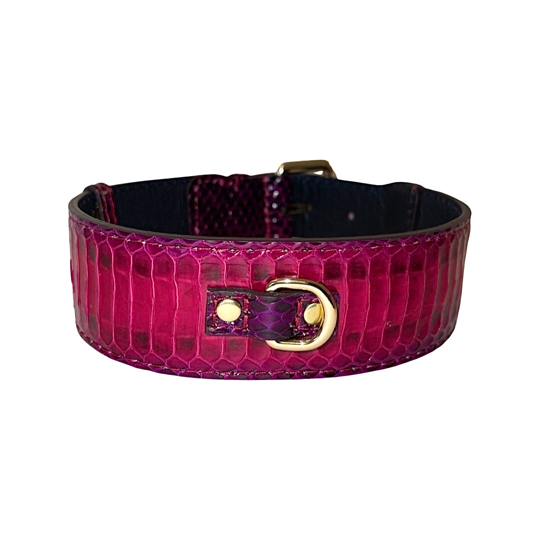 Ruby red and purple snake skin textured dog collar with a gold buckle and D-ring, shown from the front on a white background.