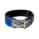 Blue and iridescent silver snake-patterned dog collar with a polished gold-tone buckle, displayed in a circular shape on a white background.