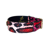 Dog collar with fuchsia, light pink, red, and black snake print pattern and gold metal buckle, shown in side view against white background.