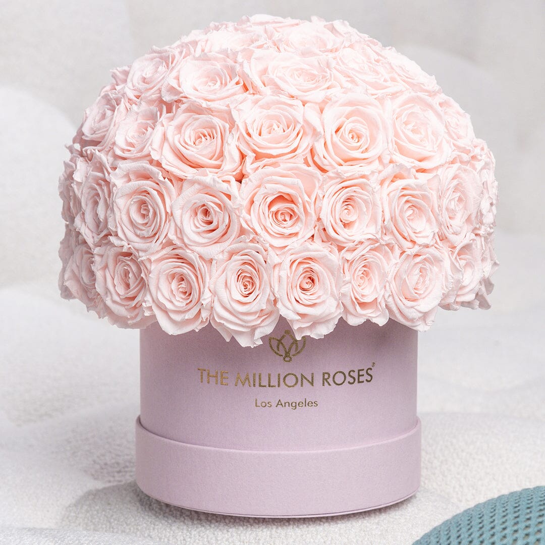 Classic Light Pink Suede Superdome Box by The Million Roses - product image 5 for Resin Society